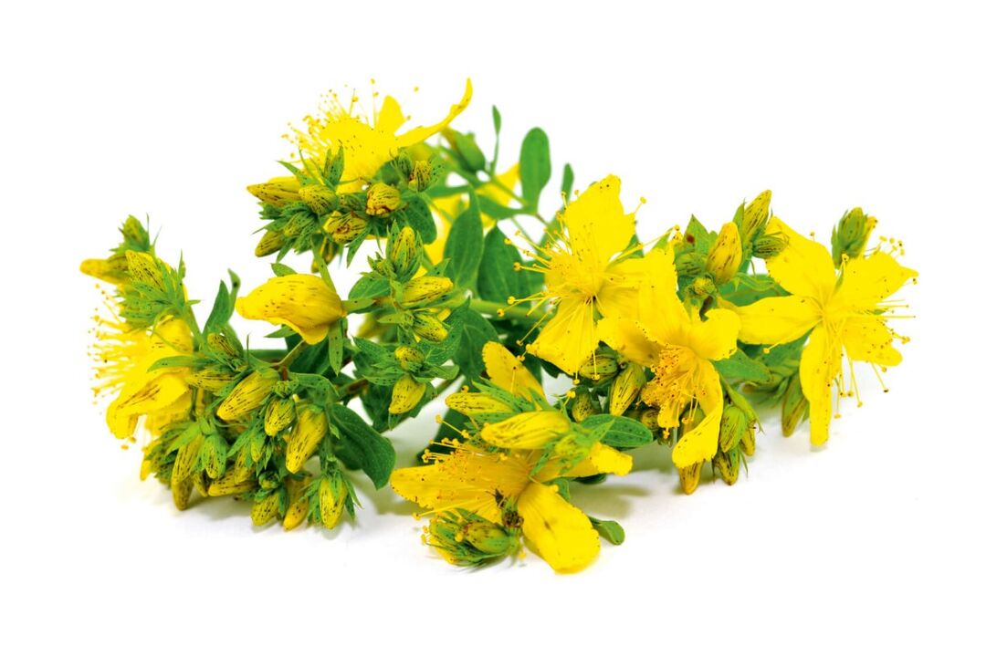 Szent John's Wort a spray -ben zxcvbnmqwert